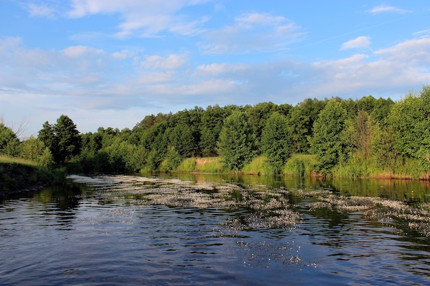 Wunderschöne Landschaft mit Fluss und schönem Wald