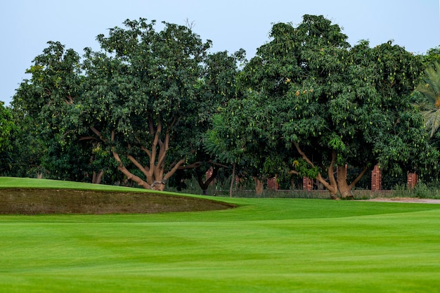 Wunderschöne Landschaft mit üppigem grünem Gras und Bäumen mit Vögeln, Golfplatz in Multan Rumanza