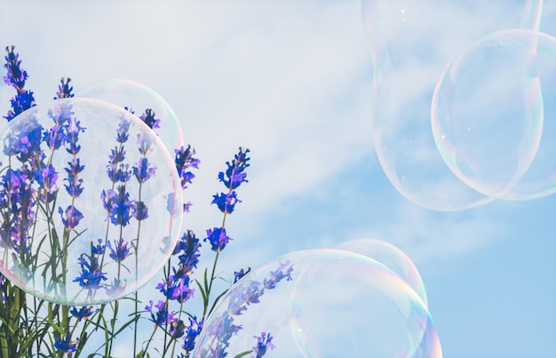 Wunderschöne Lavendelblüten und Seifenblasen auf blauem Himmelshintergrund, 3D-Rendering