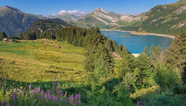Wunderschöne malerische Landschaft mit blauem Wasser des Roselend-Staudamms und Gipfelberg auf einer grünen Wiese in den französischen Alpenx9
