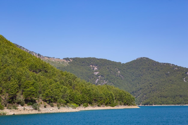 Wunderschöne, mit Bäumen bedeckte Meeresfelsen auf der Insel, die von klarem, türkisfarbenem Wasser umspült werden