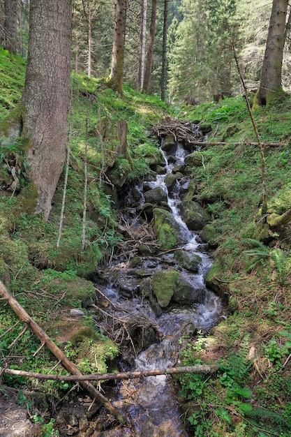 Foto wunderschöne natur und bäche in österreich