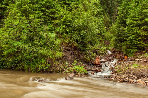 Wunderschöne Natur und Landschaft mit üppigen grünen Wäldern und Vegetation rund um den malerischen und erstaunlichen Fluss Tereblya, der in das Synevyr-Tal der Karpaten in der Ukraine fließt