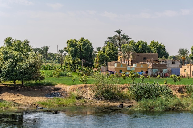 Wunderschöne naturlandschaft auf der nilkreuzfahrt von luxor nach aswer, ägypten