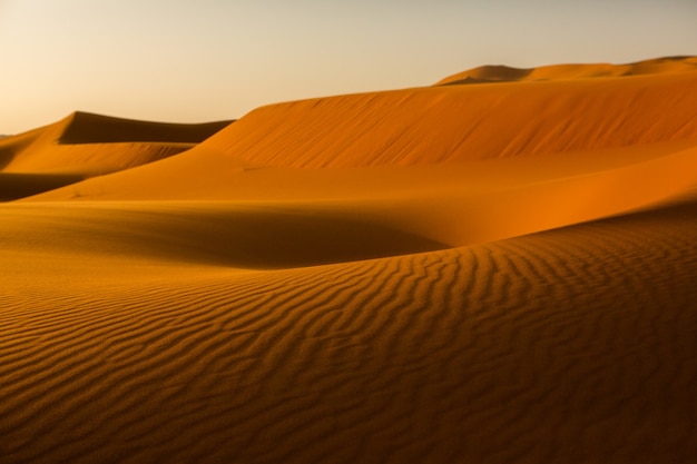 Wunderschöne Sanddünen in der Sahara in Marokko