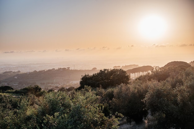 Wunderschöne Sonnenuntergangslandschaft in Italien mit pastellfarbenen Sonnenolivenfeldern und Steinkiefern ou