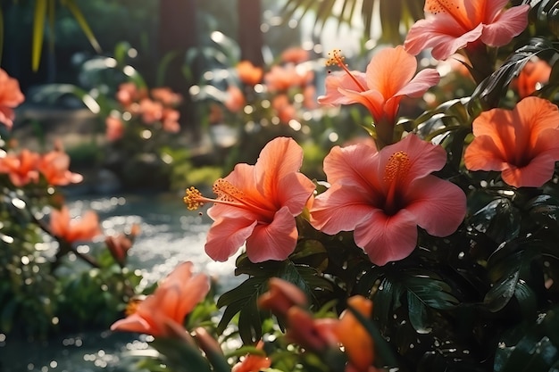 wunderschöne tropische Blumen