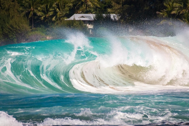 Foto wunderschöne und spektakuläre wellen, die in tunnel stürzen, makua beach auf der hawaiianischen insel kauai, usa