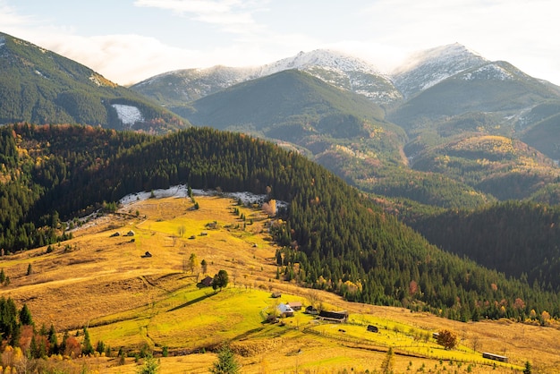 Wunderschöne Wälder, die die Karpaten und ein kleines Dorf bedecken