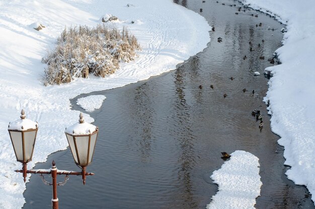 Wunderschöne Winterlandschaft Die Stadt hat einen Park und einen gewundenen, zugefrorenen Fluss. Viele hungrige Enten auf dem Wasser. Füttern Sie die Tiere im Winter. Brücke über den Fluss Flaumiger Schnee an der Küste