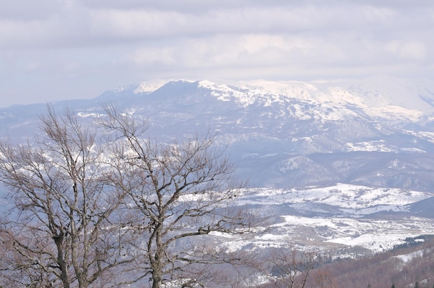 wunderschöne Winterlandschaft mit Eisschnee und starkem Wind