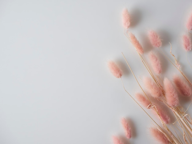 Foto wunderschöne zarte trockenblumen auf hellem hintergrund