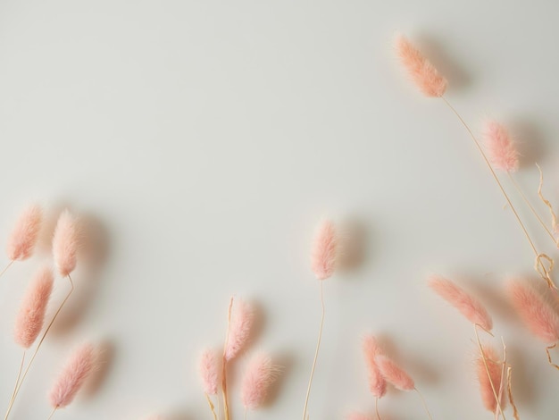 Wunderschöne zarte Trockenblumen auf hellem Hintergrund