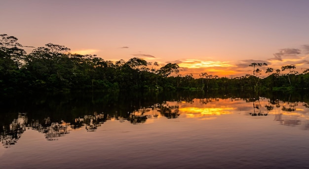 Wunderschöner Amazonas bei einem perfekten Sonnenaufgang in hoher Auflösung und Schärfe