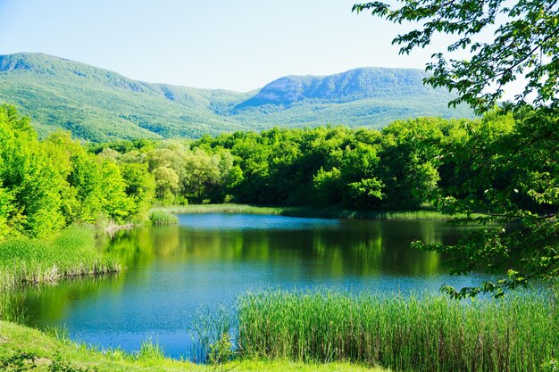 Wunderschöner Bergsee im Sommer