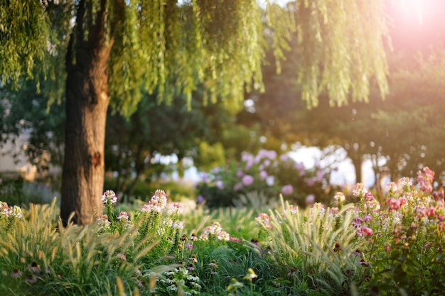 Foto wunderschöner blumengarten mit pflanzen