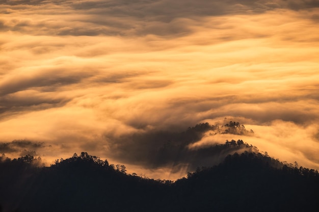 Wunderschöner goldener Nebel, der morgens auf dem Berg im Tal im Nationalpark fließt