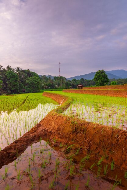 wunderschöner Morgenblick von Indonesien auf Berge und tropischen Wald