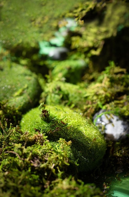 Foto wunderschöner naturhintergrund für die produktpräsentation in hochauflösenden studiofotos