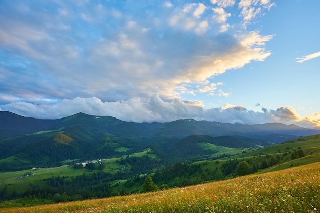 Wunderschöner nebliger Sonnenaufgang in den Karpaten, schöne Sommerlandschaft des Bezirks Volovets, lila Blumen auf grasbewachsenen Wiesen und bewaldeten Hügeln im Nebel