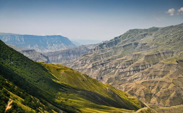 Wunderschöner Panoramablick auf die Berge mit Wäldern an einem sonnigen Sommertag