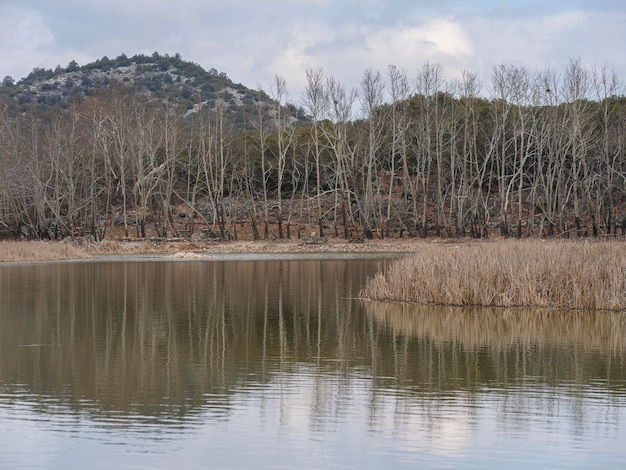 Wunderschöner See und Wald im Herbst