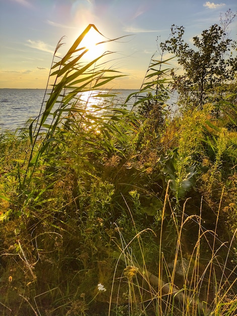 Wunderschöner Sonnenuntergang an der Wolga