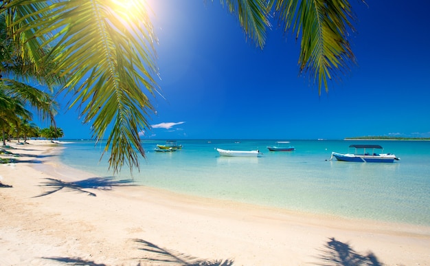 Foto wunderschöner strand. blick auf den schönen tropischen strand mit palmen herum. ferien- und urlaubskonzept.