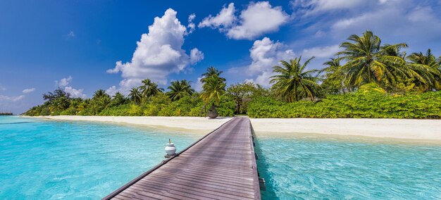 Wunderschöner Strand mit Holzsteg und grüner Palme auf der Malediveninsel. Perfekte tropische Landschaft