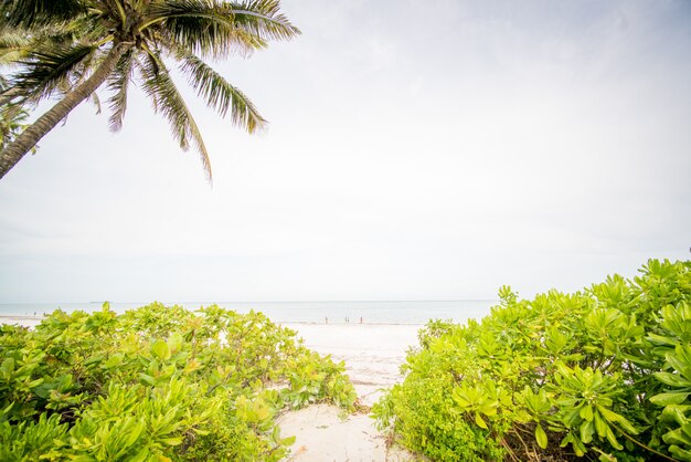 Wunderschöner Strand