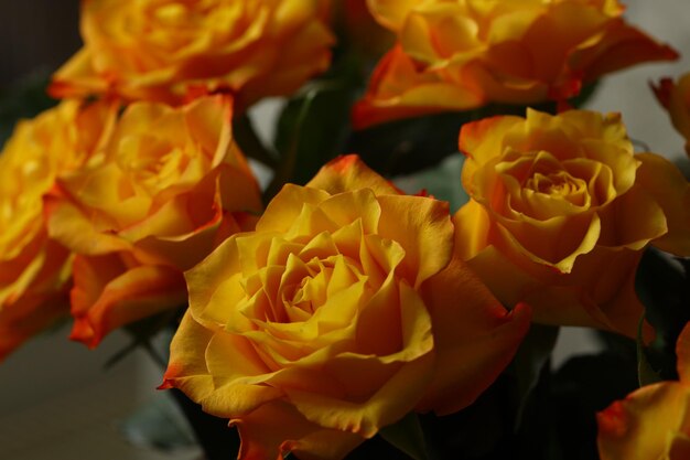 Wunderschöner Strauß orangefarbener Rosen mit zarten Blütenblättern