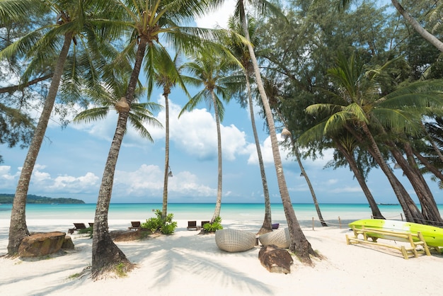 Wunderschöner tropischer Strand