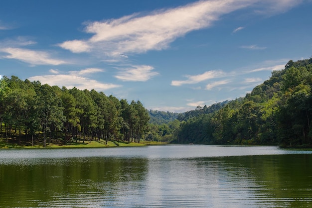 Wunderschöner Waldsee in Russland Panoramablick auf die wunderschöne Seelandschaft in der Region Pskov, Russland