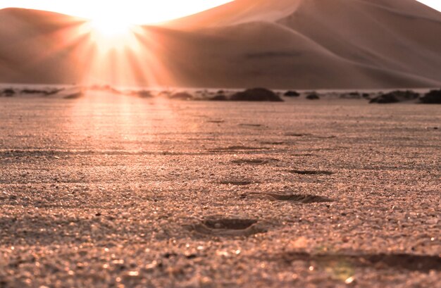 Wunderschöner Wüstensonnenuntergang und Fußabdrücke im Sand