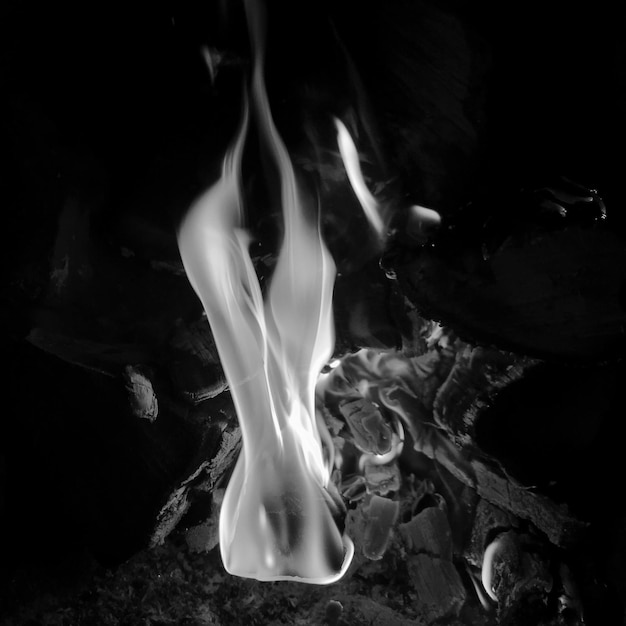 Wunderschönes flammbraunes Holz, dunkelschwarze Kohle