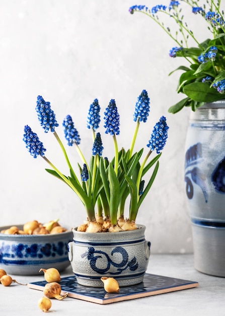 Wunderschönes floristisches Frühlingsarrangement mit blauen Traubenhyazinthenblumen