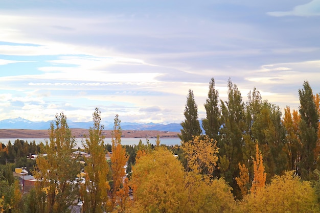 Wunderschönes Herbstlaub der Stadt El Calafate am Lago Argentino Lakeshore Patagonien Argentinien