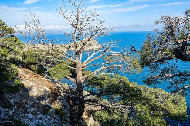 Wunderschönes Meerblick-Panorama vom Kap Kapchik zum Galitsin Trail Russia