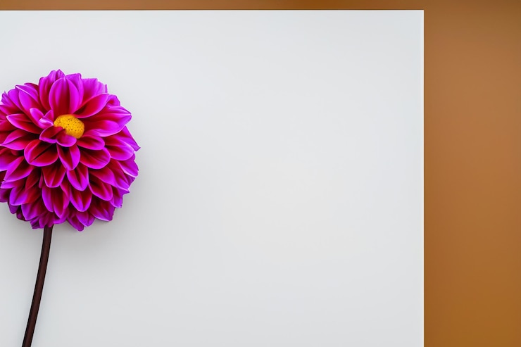 Foto wunderschönes modell einer bezaubernden dahlienblume auf weißem papier