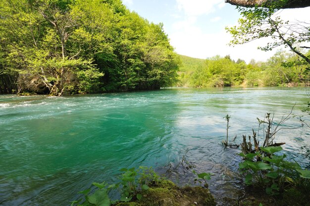 wunderschönes Naturbild mit Fluss und Wasserfall am Frühling Seasson