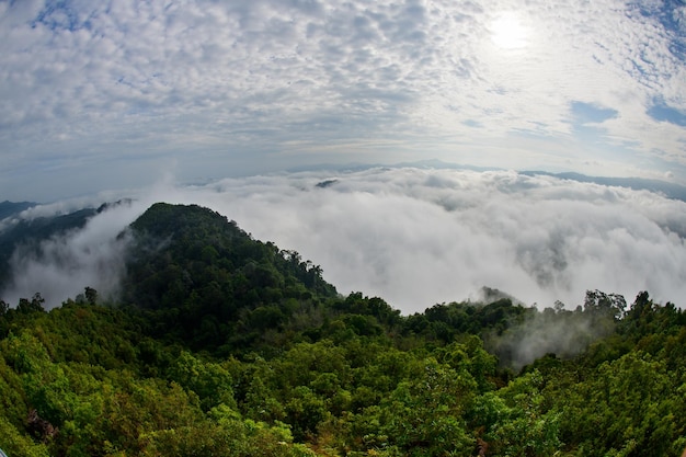 Wunderschönes Nebelmeer und Waldblick vom Aiyoeweng View Point Yala Thailand