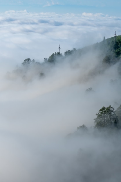 Wunderschönes Schutzgebiet von Kintrishi und Resort Gomismta