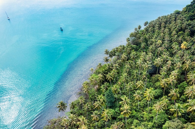 Wunderschönes tropisches Meer mit Palmenwald auf der Insel Koh Kood