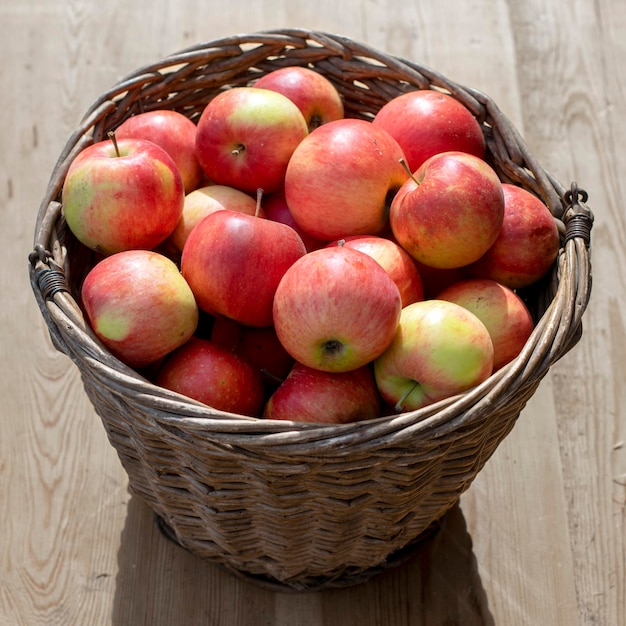 XA Frische hausgemachte Äpfel aus dem Garten im Korb