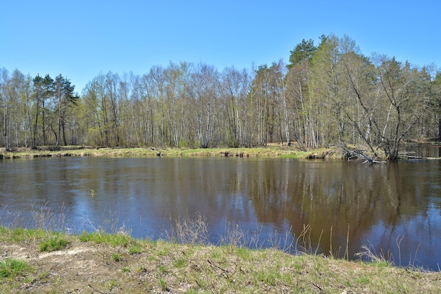 XA Frühling am Waldfluss