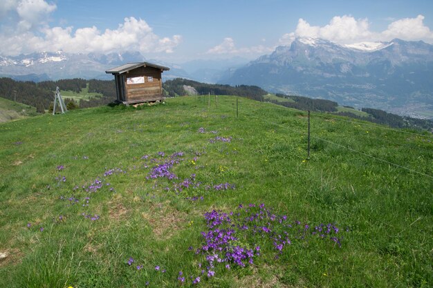 XALaisagem dos Alpes franceses