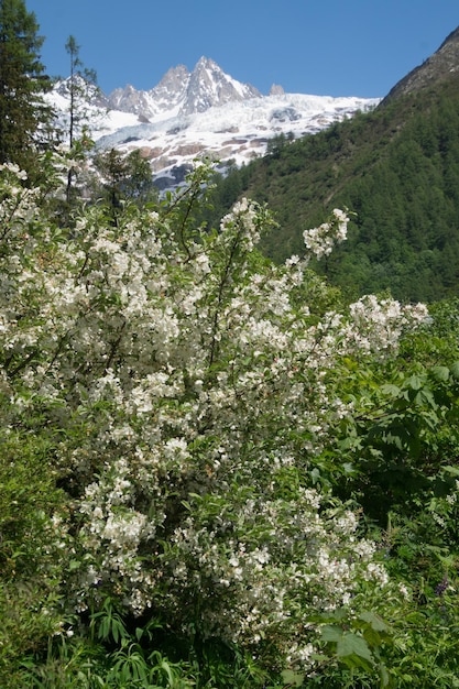 Foto xalandschaft der französischen alpen