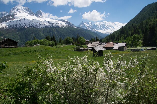 XAPaisaje de los Alpes franceses