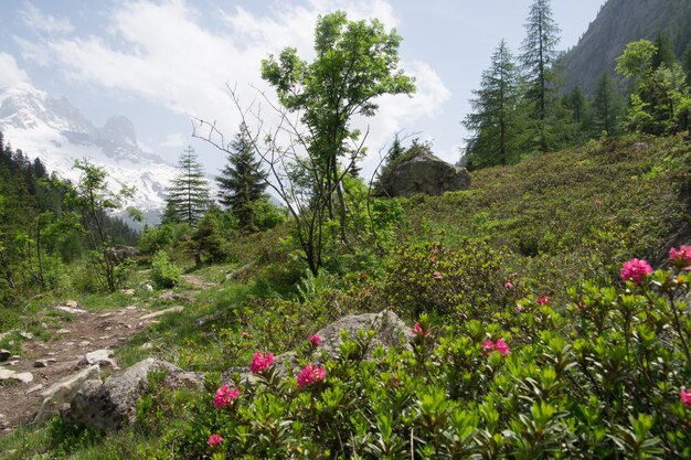 XAPaisaje de los Alpes franceses