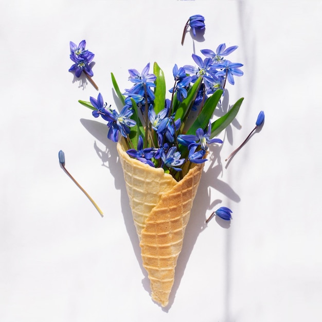 Xaspring flores azuis em um cone de waffle em um fundo branco